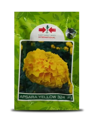 APSARA YELLOW 324 F1 MARIGOLD