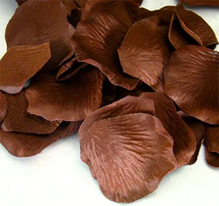 Brown Rose Flower Petals