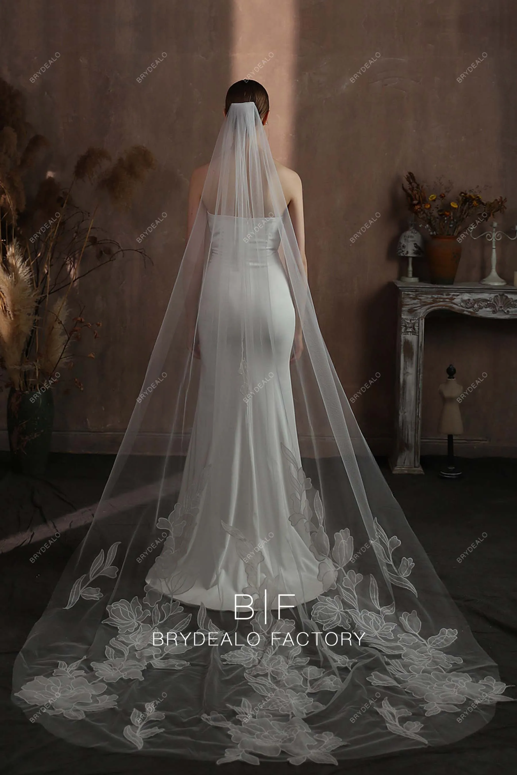 Gorgeous Lace Cathedral Length Single Tier Bridal Veil