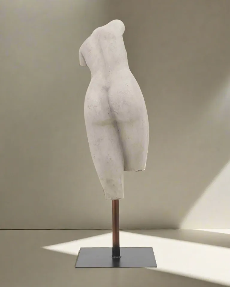 Venus Torso