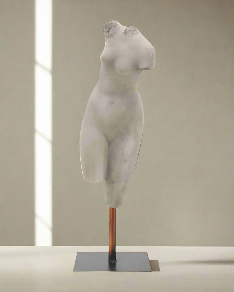 Venus Torso